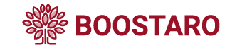 Boostaro official black logo